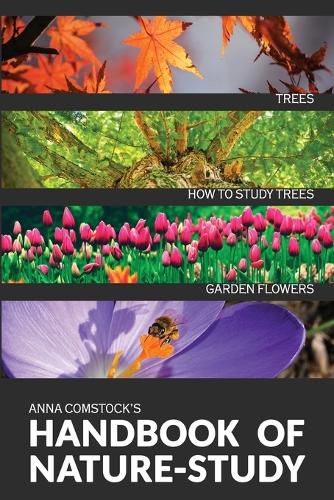 Cover image for The Handbook Of Nature Study in Color - Trees and Garden Flowers