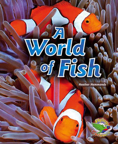 A World of Fish