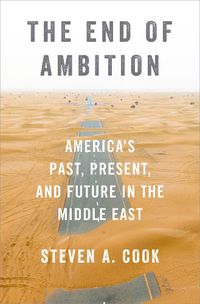 Cover image for The End of Ambition: America's Past, Present, and Future in the Middle East