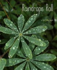 Cover image for Raindrops Roll