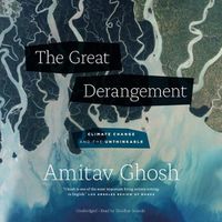 Cover image for The Great Derangement: Climate Change and the Unthinkable