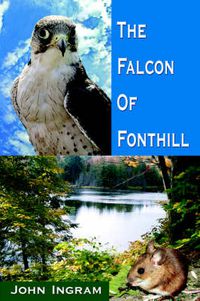 Cover image for The Falcon Of Fonthill