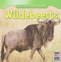 Cover image for Wildebeests