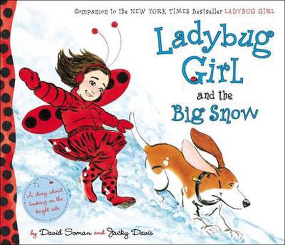 Cover image for Ladybug Girl and the Big Snow