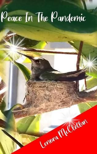 Cover image for Peace In The Pandemic