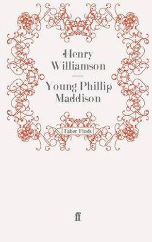 Cover image for Young Phillip Maddison