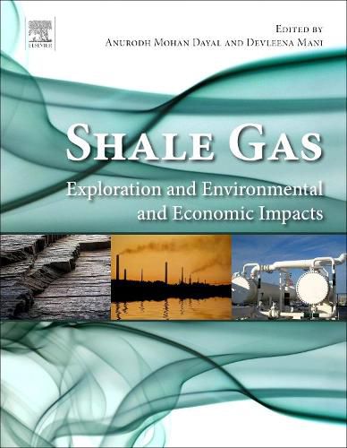 Cover image for Shale Gas: Exploration and Environmental and Economic Impacts