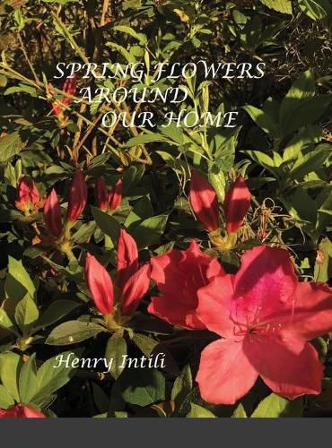 Cover image for Spring Flowers