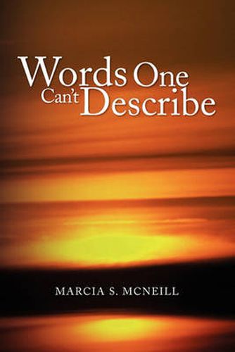Cover image for Words One Can't Describe