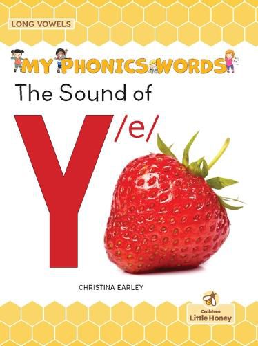 Cover image for The Sound of Y /E