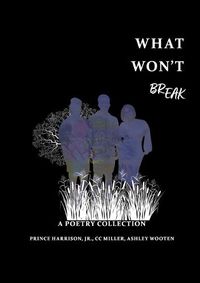 Cover image for What Won't BREAK