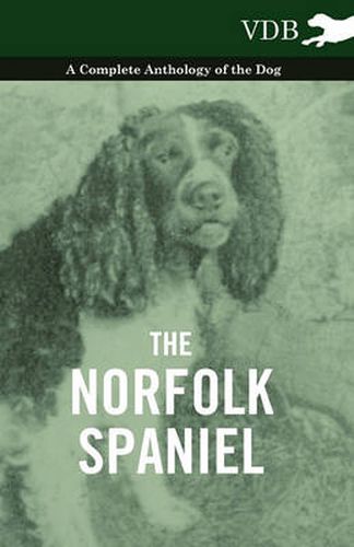 Cover image for The Norfolk Spaniel - A Complete Anthology of the Dog