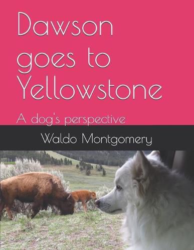 Cover image for Dawson goes to Yellowstone