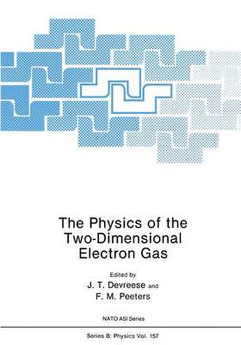 Cover image for The Physics of the Two-Dimensional Electron Gas