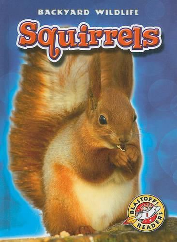 Cover image for Squirrels