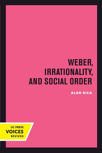 Cover image for Weber, Irrationality, and Social Order
