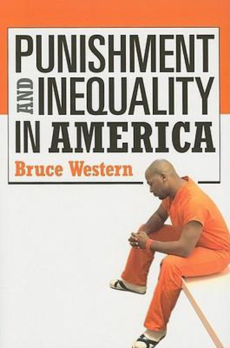 Cover image for Punishment and Inequality in America