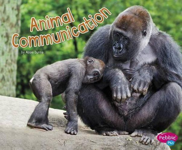 Cover image for Animal Communication