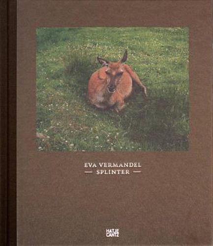 Cover image for Eva Vermandel: Splinter