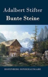 Cover image for Bunte Steine