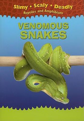 Cover image for Venomous Snakes