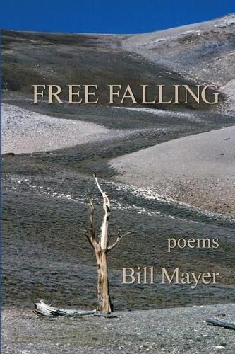 Cover image for Free Falling