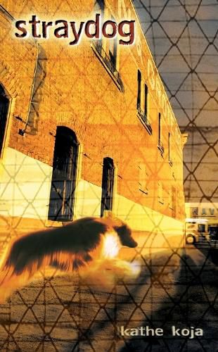 Cover image for Straydog