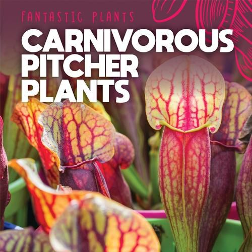 Carnivorous Pitcher Plants