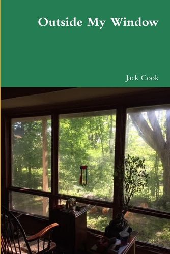 Cover image for Outside My Window