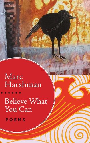 Cover image for Believe What You Can: Poems