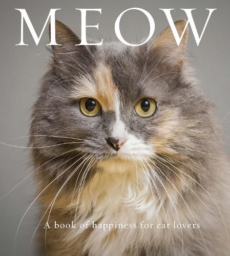 Cover image for Meow: A Book of Happiness for Cat Lovers