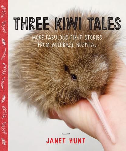 Cover image for Three Kiwi Tales