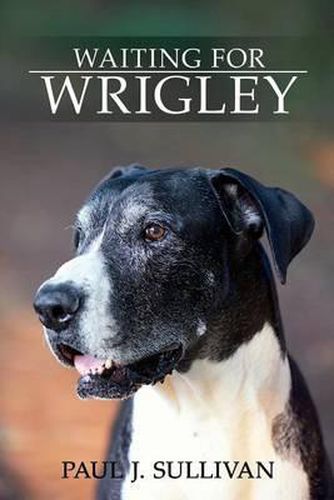 Cover image for Waiting For Wrigley