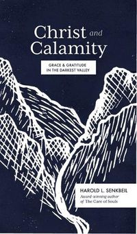 Cover image for Christ and Calamity: Grace and Gratitude in the Darkest Valley