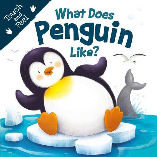 Cover image for What Does Penguin Like? (Touch & Feel): Touch & Feel Board Book