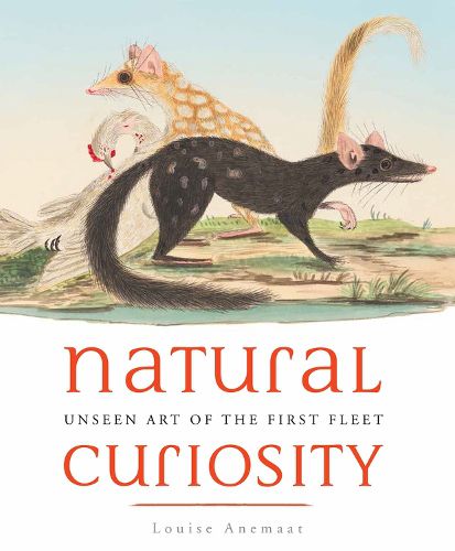 Cover image for Natural Curiosity: Unseen Art of the First Fleet