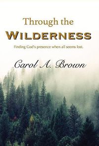 Cover image for Through The Wilderness: Finding God's presence when all seems lost.