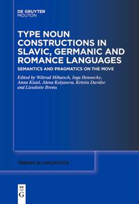 Cover image for Type Noun Constructions in Slavic, Germanic and Romance Languages