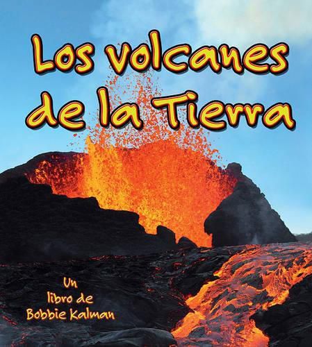 Cover image for Los Volcanes de la Tierra