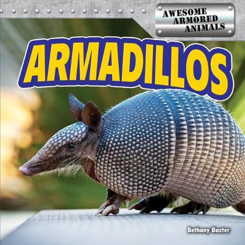 Cover image for Armadillos