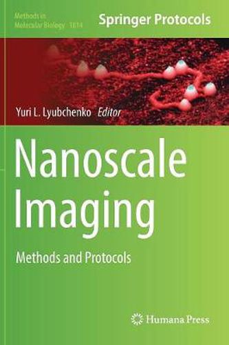 Cover image for Nanoscale Imaging: Methods and Protocols