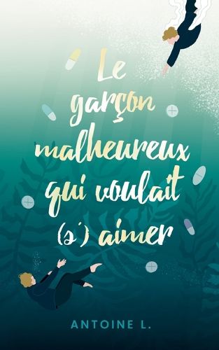 Cover image for Le garcon malheureux qui voulait (s')aimer