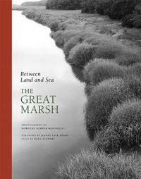 Cover image for Between Land and Sea: The Great Marsh