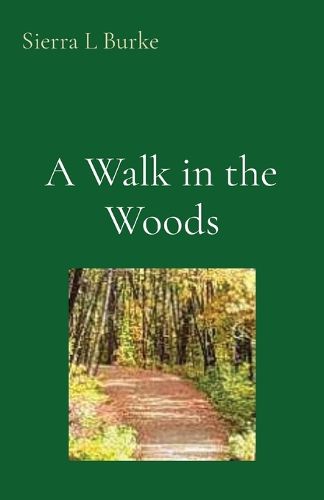 Cover image for A Walk in the Woods