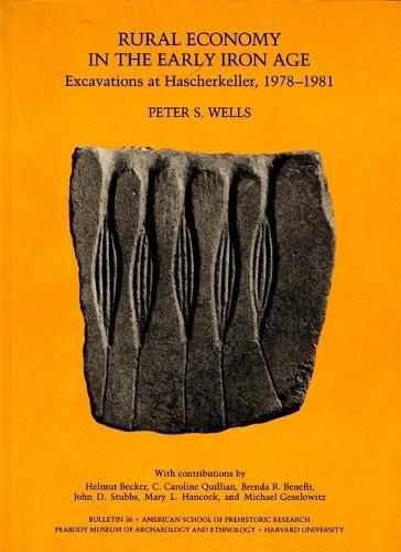Rural Economy in the Early Iron Age: Excavations at Hascherkeller, 1978-1981
