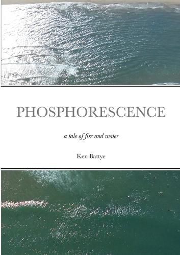 Cover image for Phosphorescence