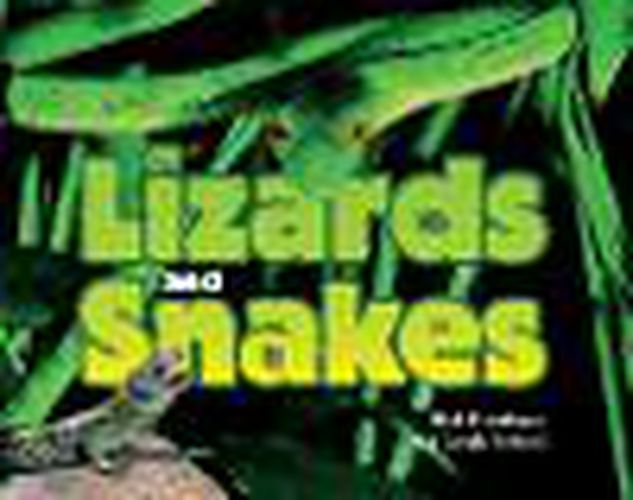 Cover image for Rigby Literacy Fluent Level 4: Lizards and Snakes (Reading Level 26/F&P Level Q)