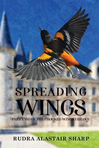 Cover image for Spreading Wings