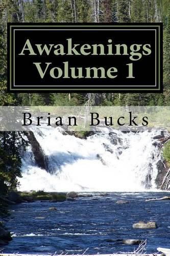 Cover image for Awakenings: Volume 1