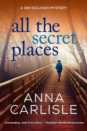 Cover image for All The Secret Places: A Gin Sullivan Mystery